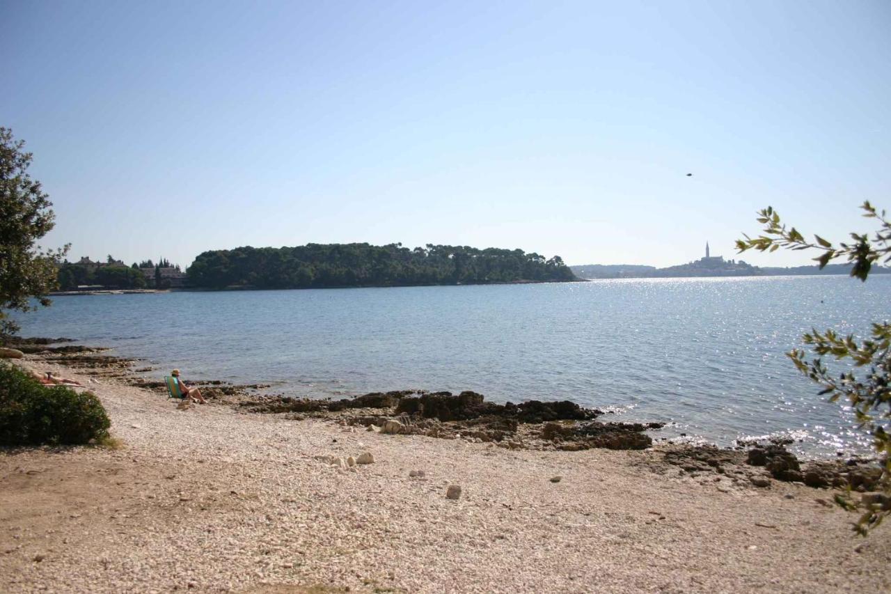 Apartments In Rovinj/Istrien 11528 Bagian luar foto